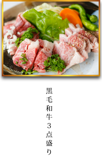 メニュー 安曇野市穂高 焼肉食堂ふーさん で美味しい焼き肉を